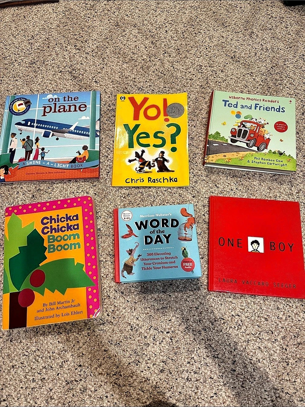 6 piece book series